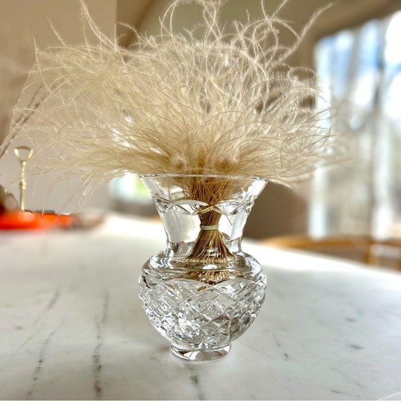 Assorted Dried floral & frisée batches - Picture 5 of 10